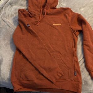 Patagonia Men's Rust Hoodie